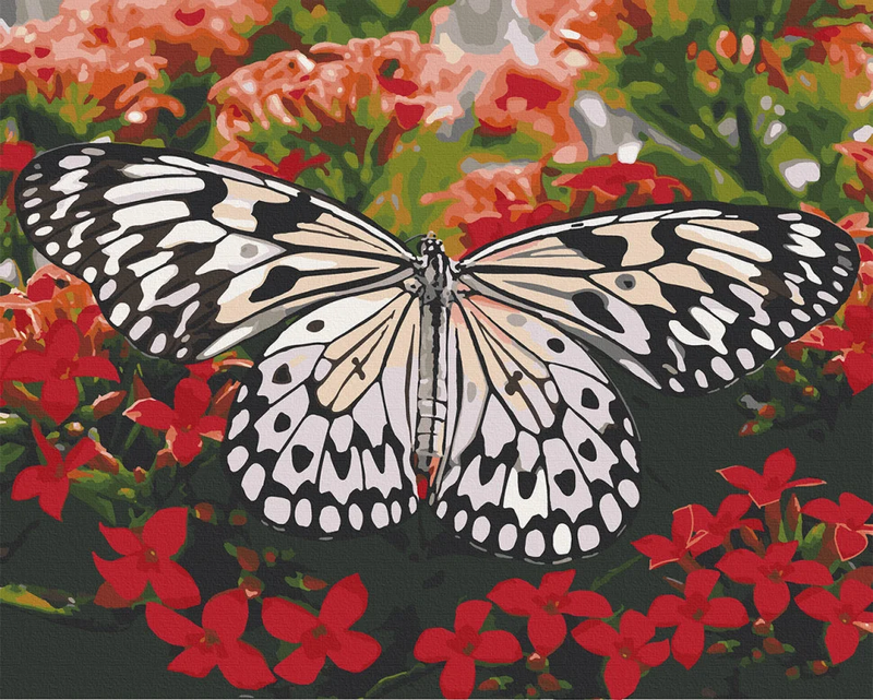 Картина за номерами. Art Craft "Красуня в кольорах" 40х50 см 13119-AC