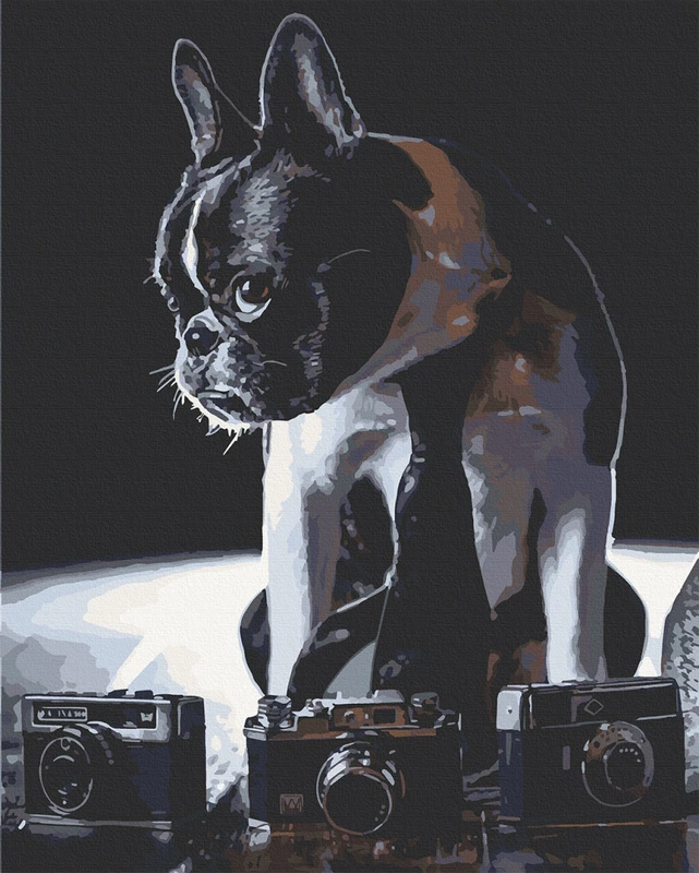 Картина за номерами. Art Craft Сором'язливий фотограф 40х50 см 11642-AC