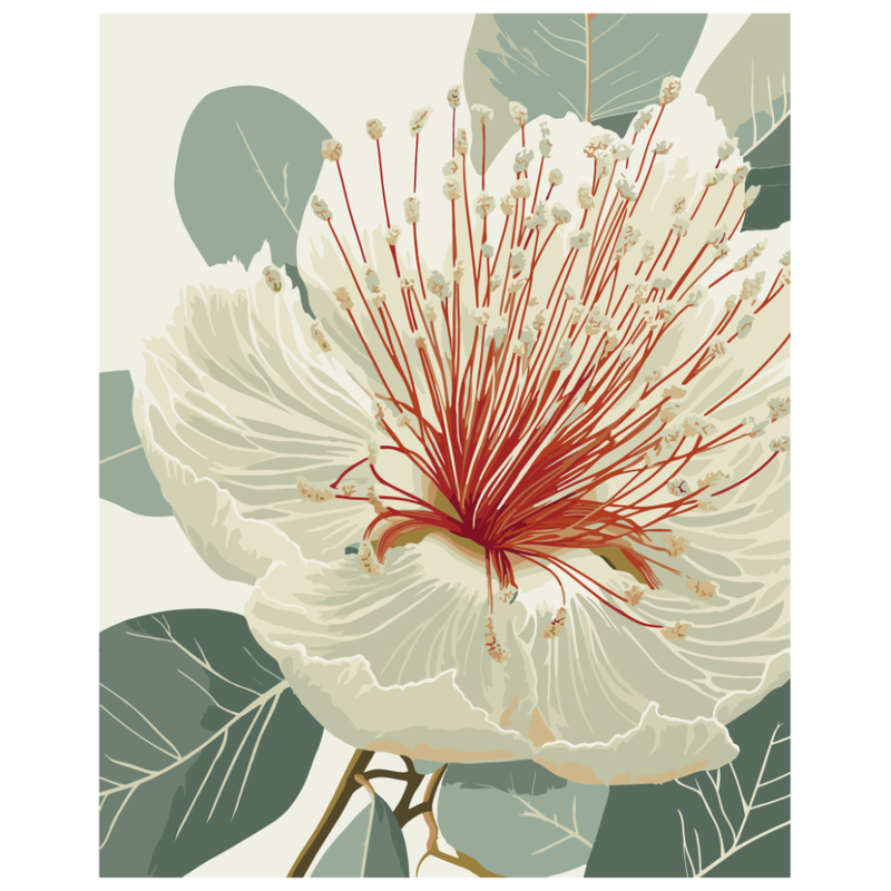 Картина за номерами "Квітучий евкаліпт" Art Craft 13155-AC 40х50 см