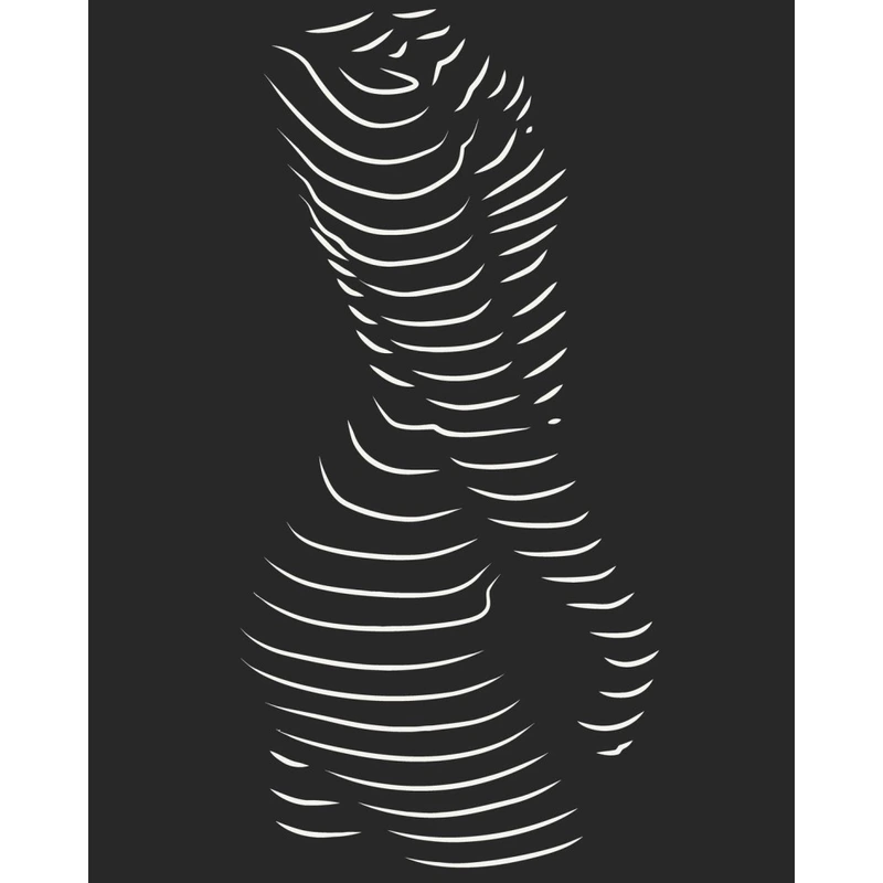 Картина за номерами "Звабливий силует" 10117-AC 40х50 см