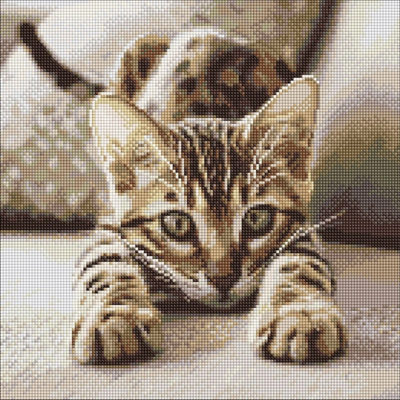 Алмазна мозаїка "Грайливе кошеня" ©art_selena_ua AMO20280, 40х40см