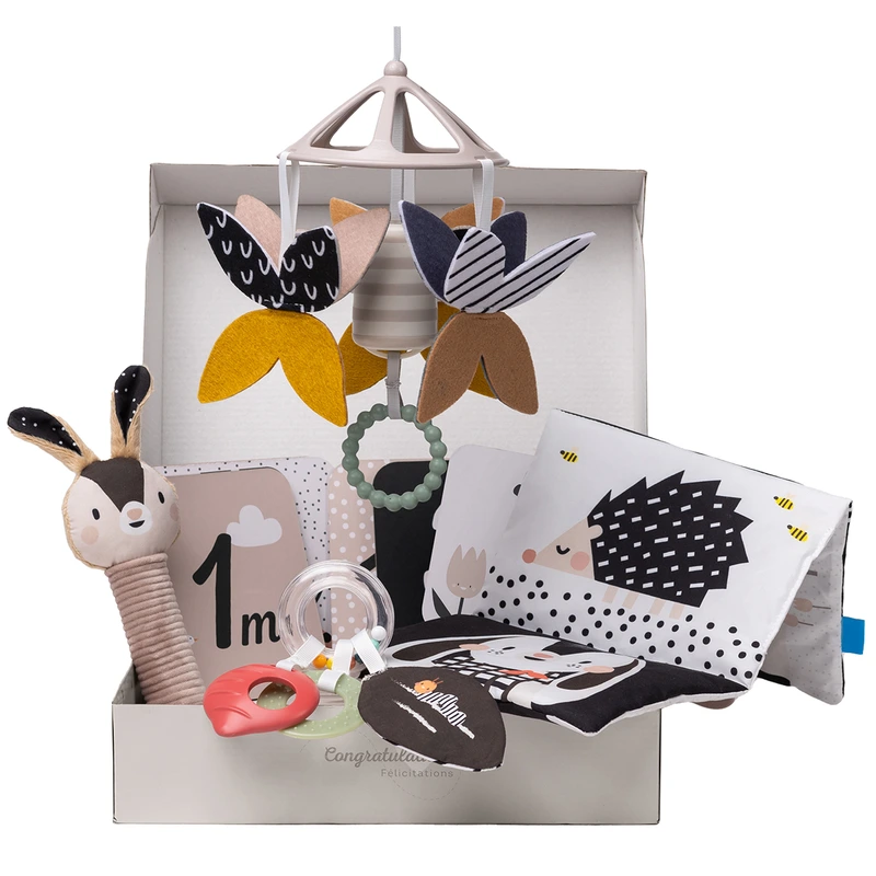 Подарунковий набір іграшок для новонародженого колекції "Садочок у місті" – ЧОРНО-БІЛА ГАРМОНІЯ — Taf Toys