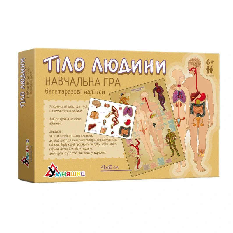 Дитяча навчальна гра з багаторазовими наклейками "Тіло людини" KP-004y укр. мовою — Умняшка