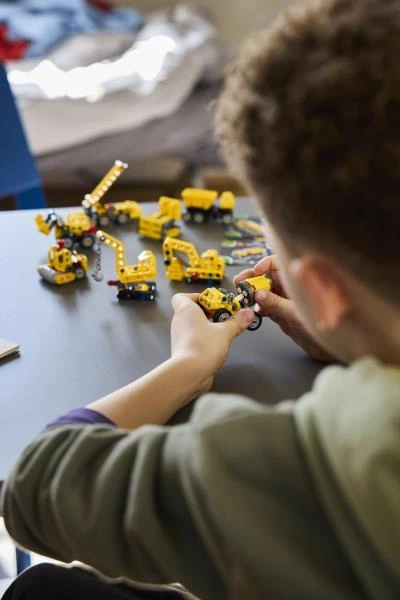Конструктор LEGO® Technic Потужні машини (42233)