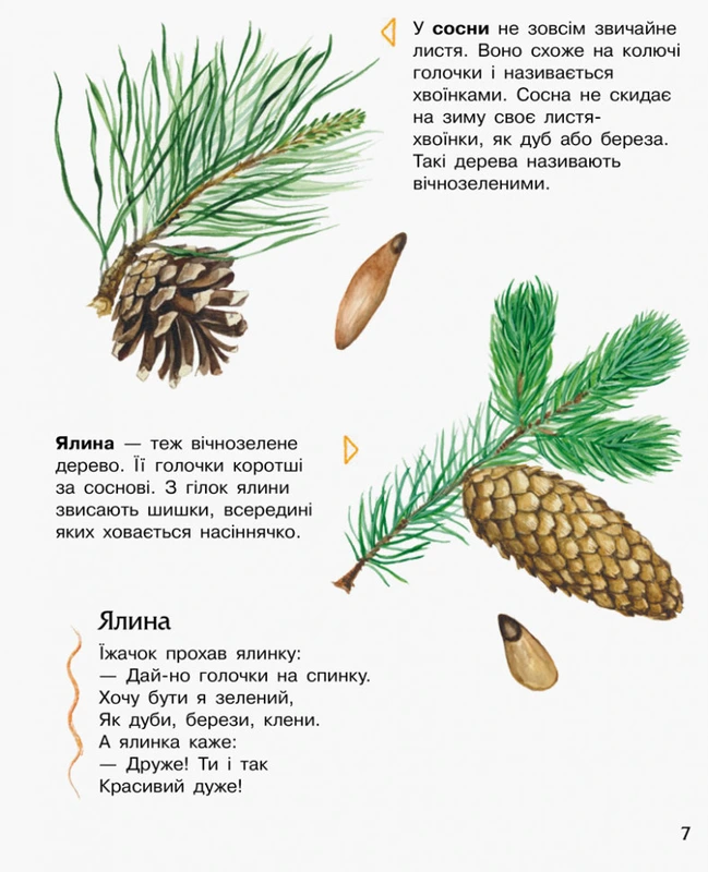 Дитяча енциклопедія про ліс 614016 для дошкільнят