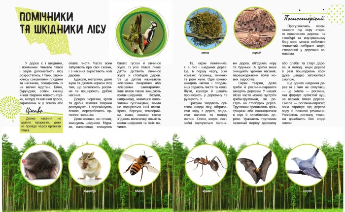 Дитяча книга " Світ і його таємниці: Життя лісу" 740002 укр. мовою