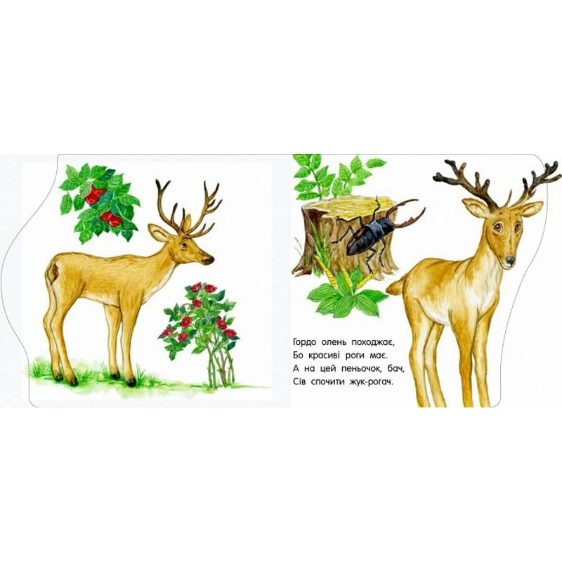 Дитяча книжечка "Перші кроки : У зоопарку" 410012 українською мовою