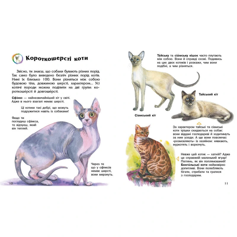 Енциклопедія дошкільника "Коти" 614039 для найменших