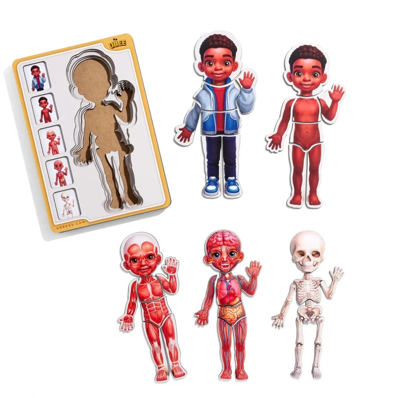 Дерев'яний пазл-вкладиш "Анатомія людини - хлопчик-3" (ПСД262) PSD262 будова тіла